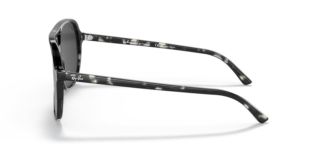 Ray-Ban Bill RB2198