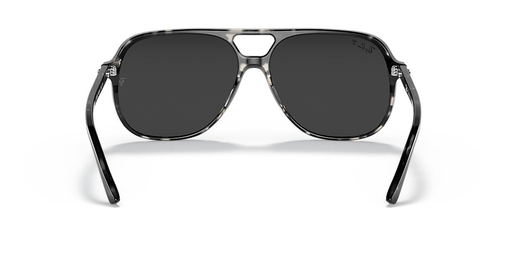 Ray-Ban Bill RB2198