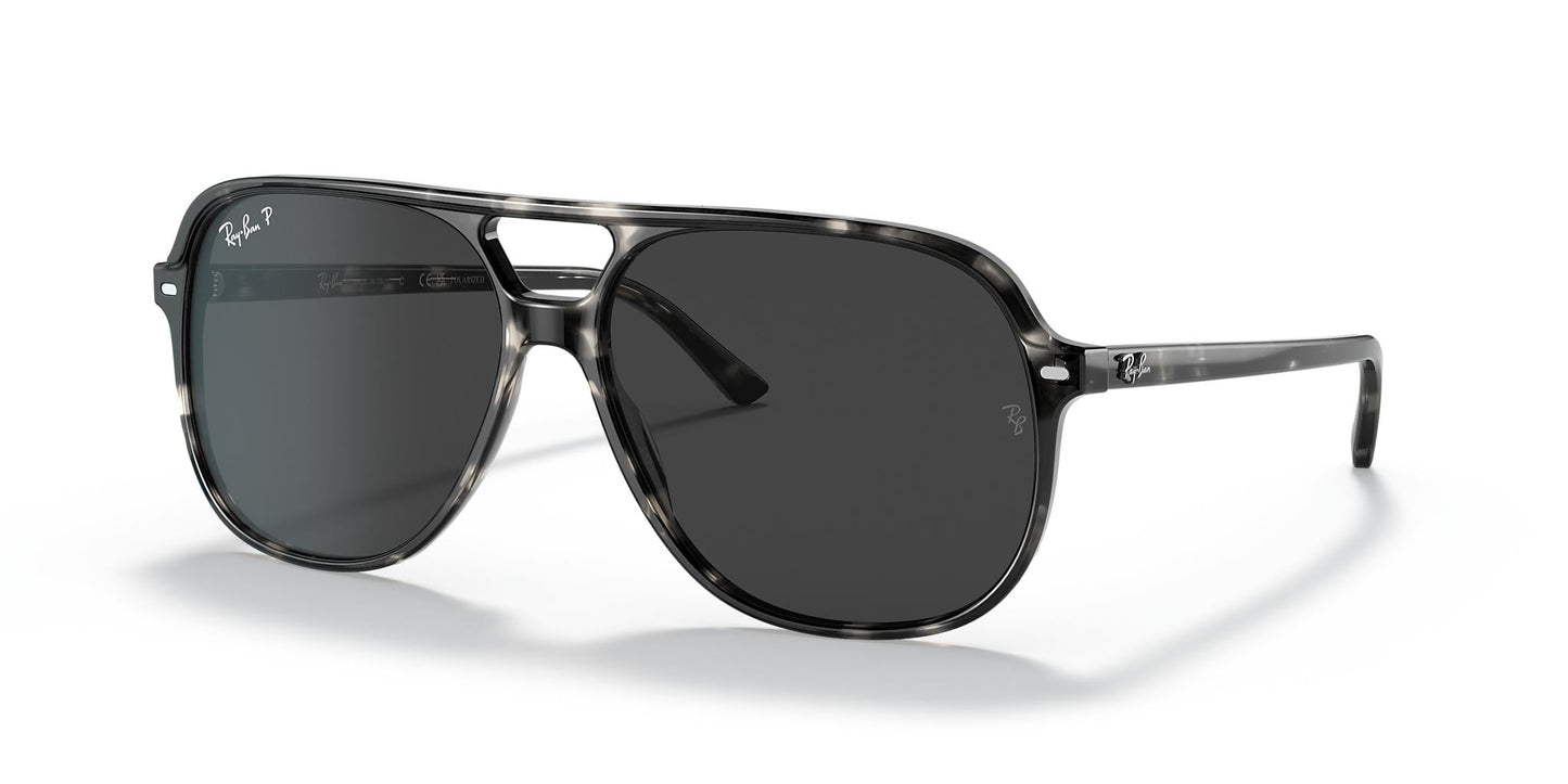 Ray-Ban Bill RB2198