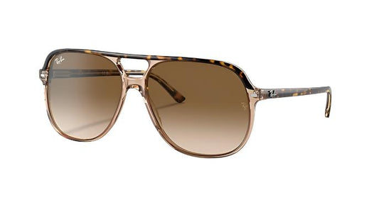 Ray-Ban Bill RB2198