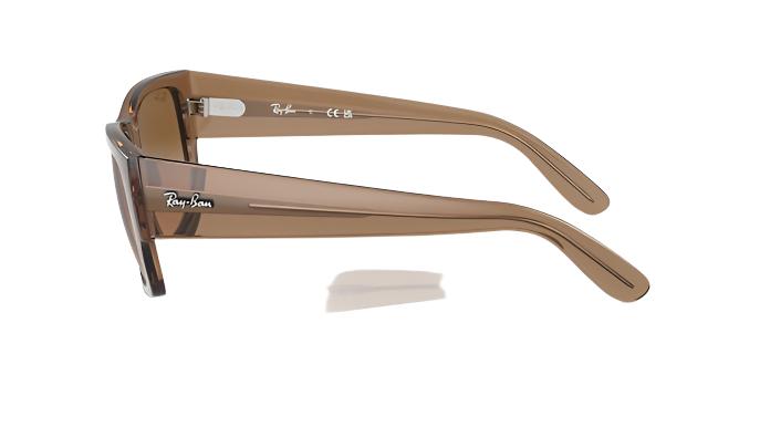 Ray-Ban Carrigan RB4397