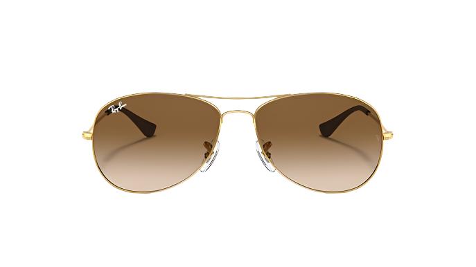 Ray-Ban Cockpit RB3362