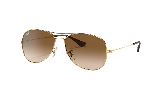 Ray-Ban Cockpit RB3362