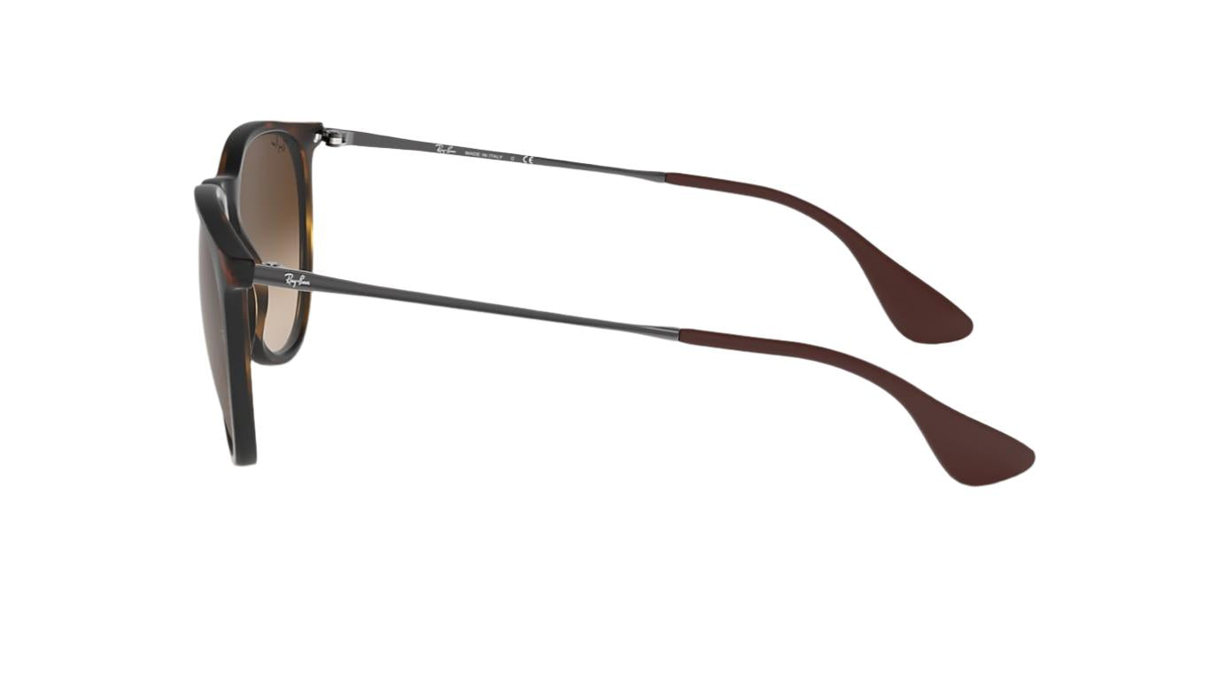 Ray-Ban Erika RB4171