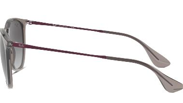 Ray-Ban Erika RB4171
