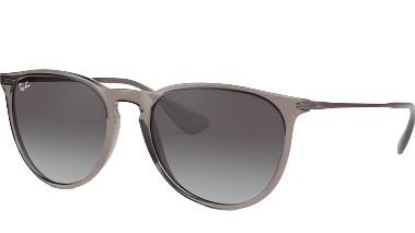 Ray-Ban Erika RB4171