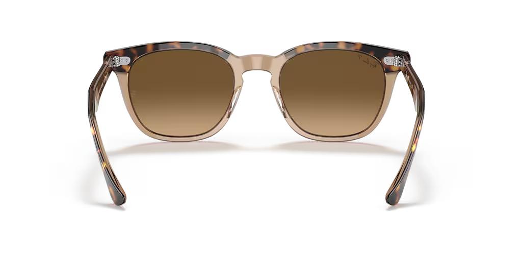 Ray-Ban Hawkeye RB2298