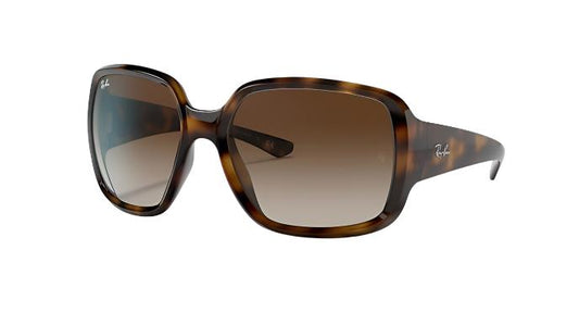 Ray-Ban Powderhorn RB4347