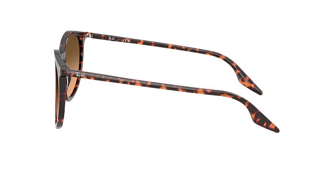 Ray-Ban RB2204