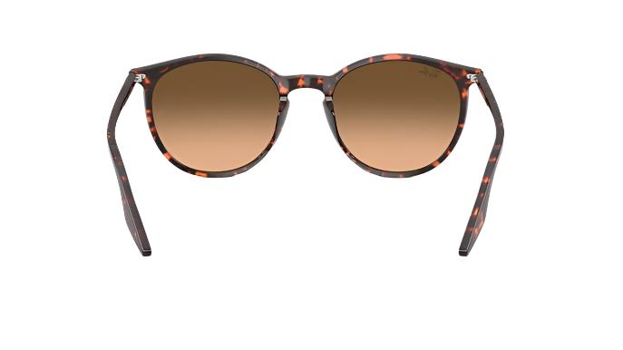 Ray-Ban RB2204