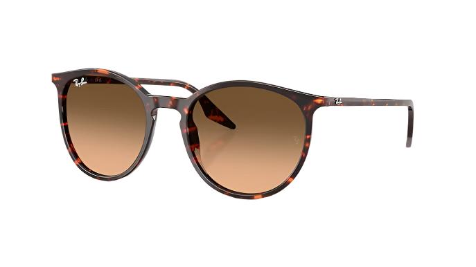 Ray-Ban RB2204