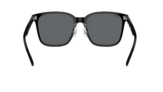 Ray-Ban RB2206D