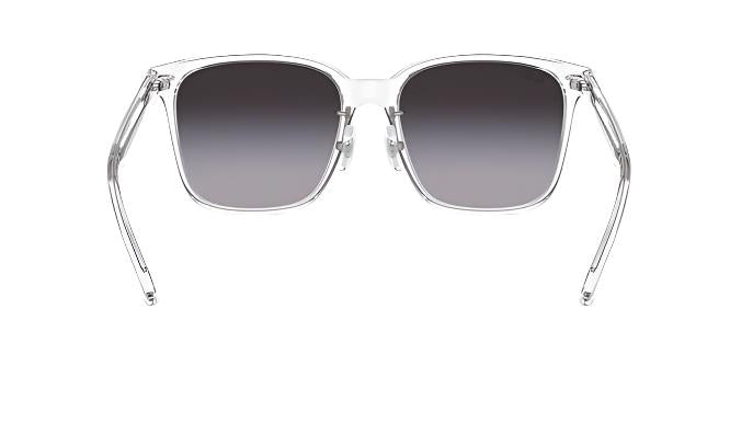 Ray-Ban RB2206D