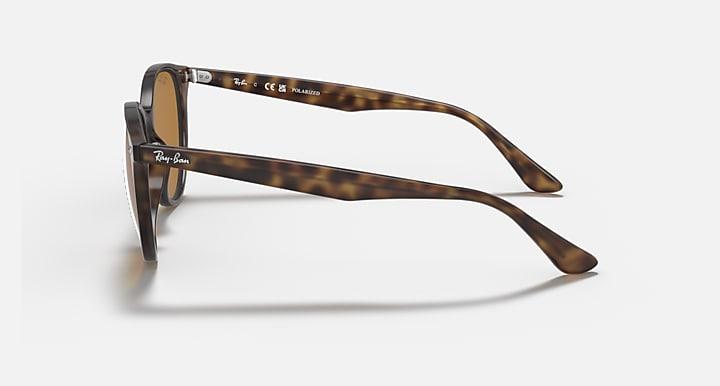 Ray-Ban RB4305