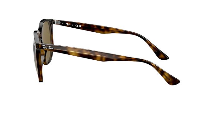Ray-Ban RB4306