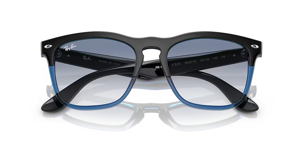 Ray-Ban Steve RB4487