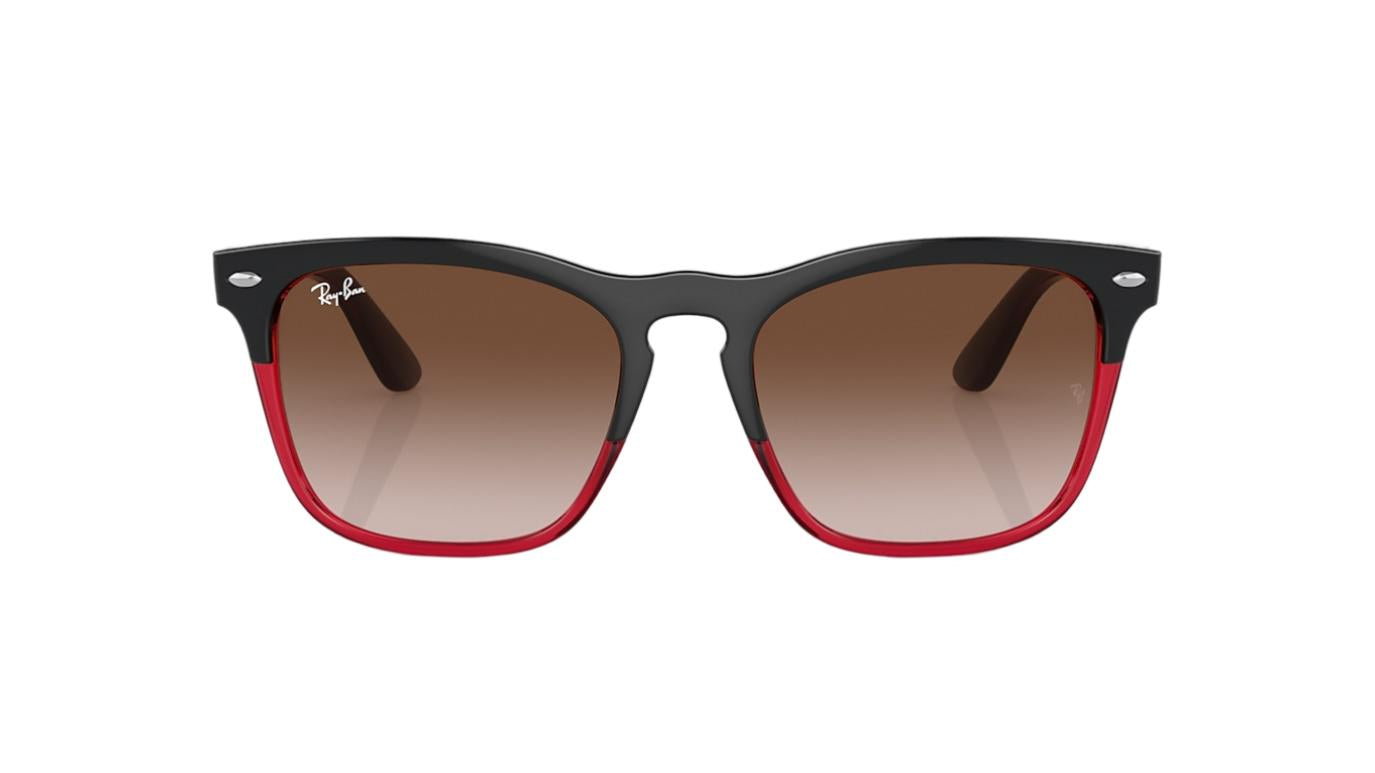 Ray-Ban Steve RB4487