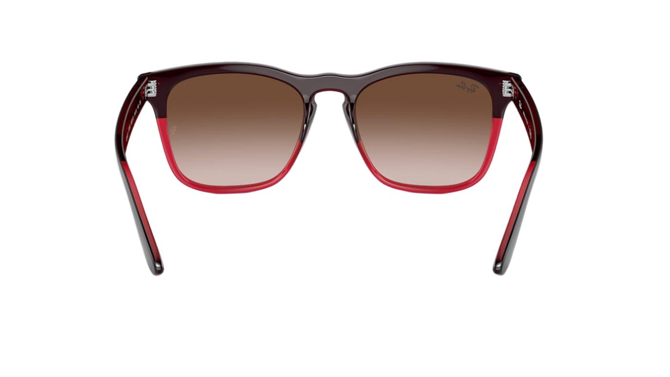 Ray-Ban Steve RB4487
