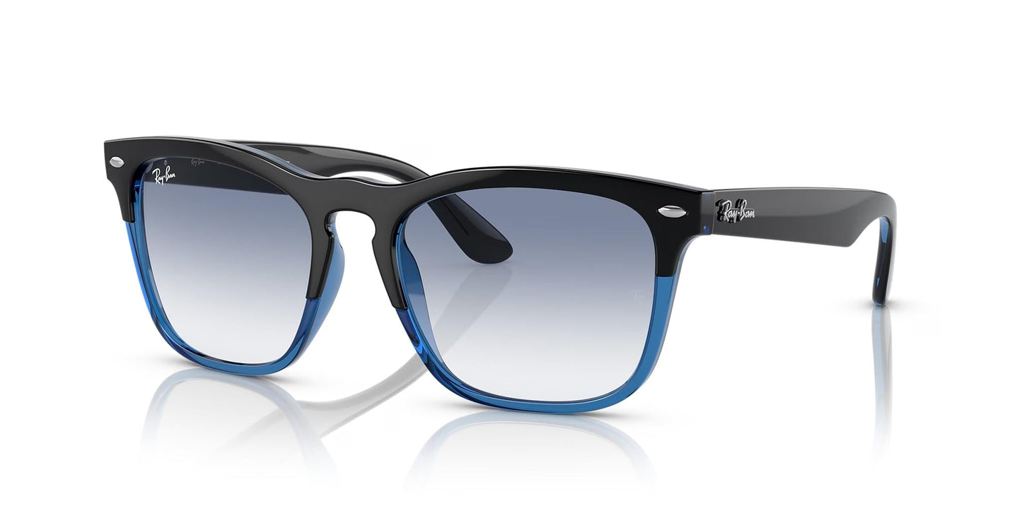 Ray-Ban Steve RB4487