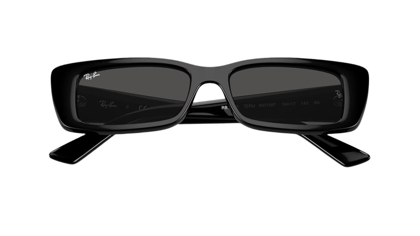 Ray-Ban Teru RB4425