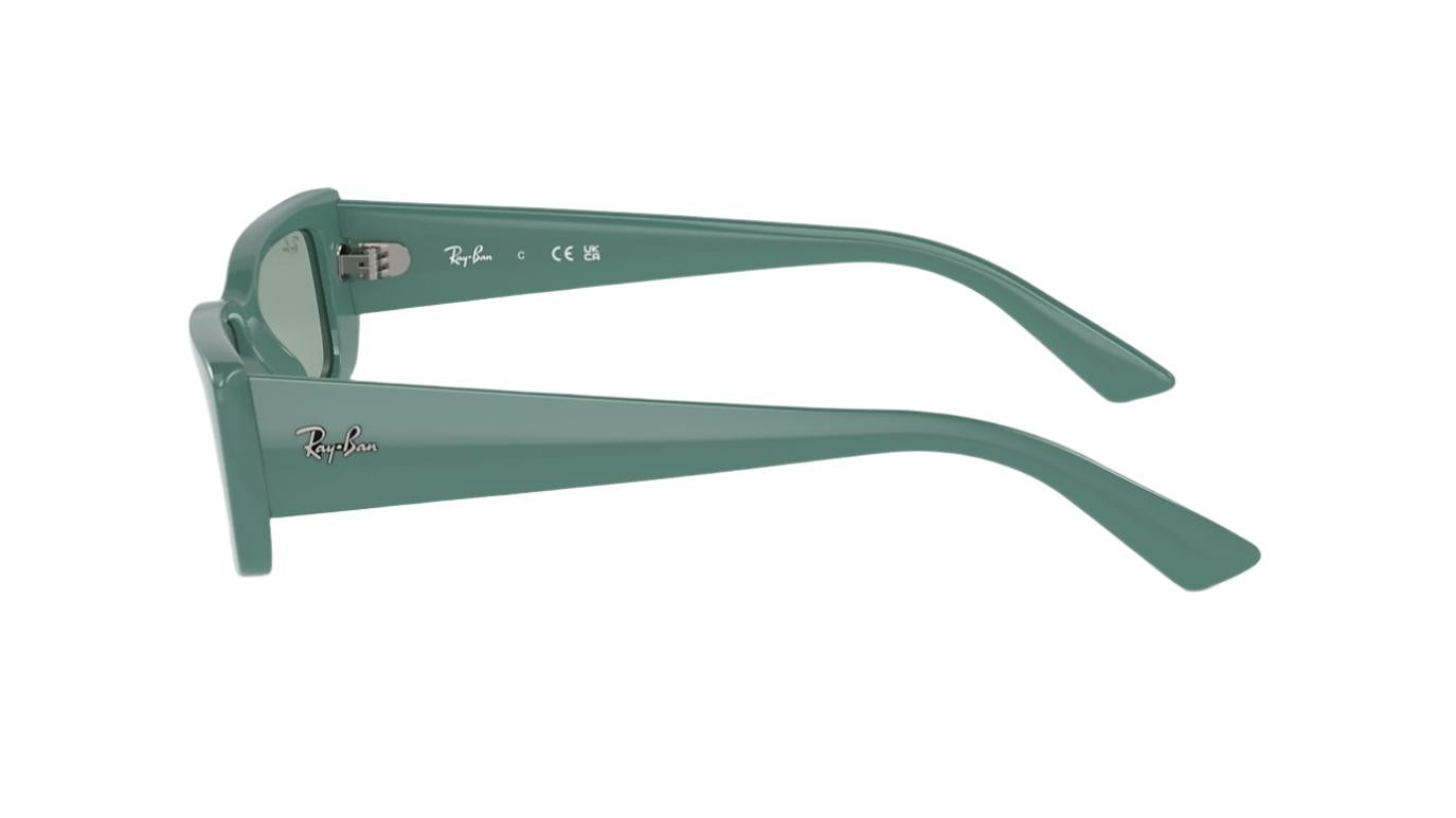 Ray-Ban Teru RB4425