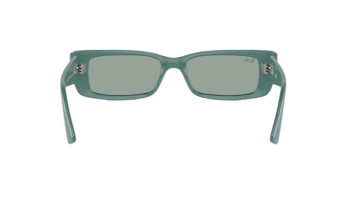 Ray-Ban Teru RB4425