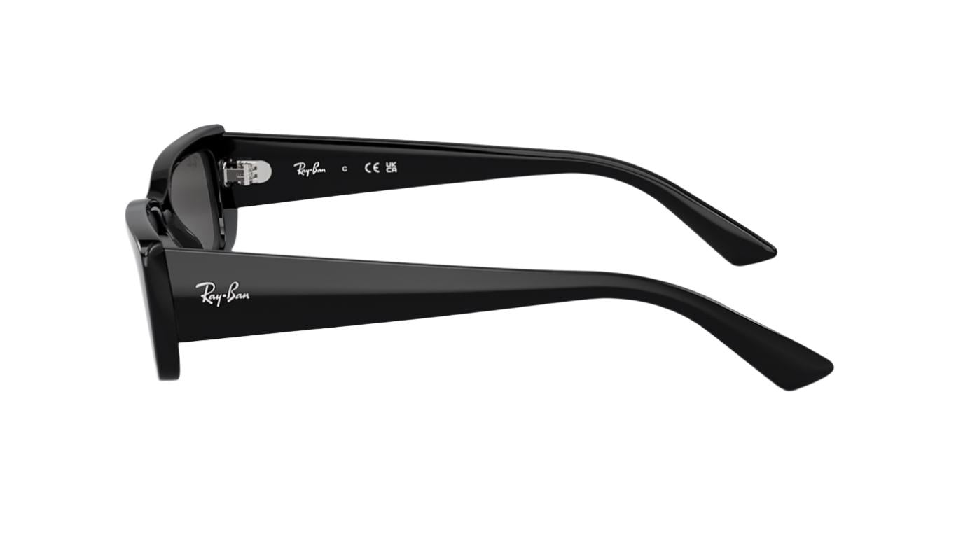 Ray-Ban Teru RB4425