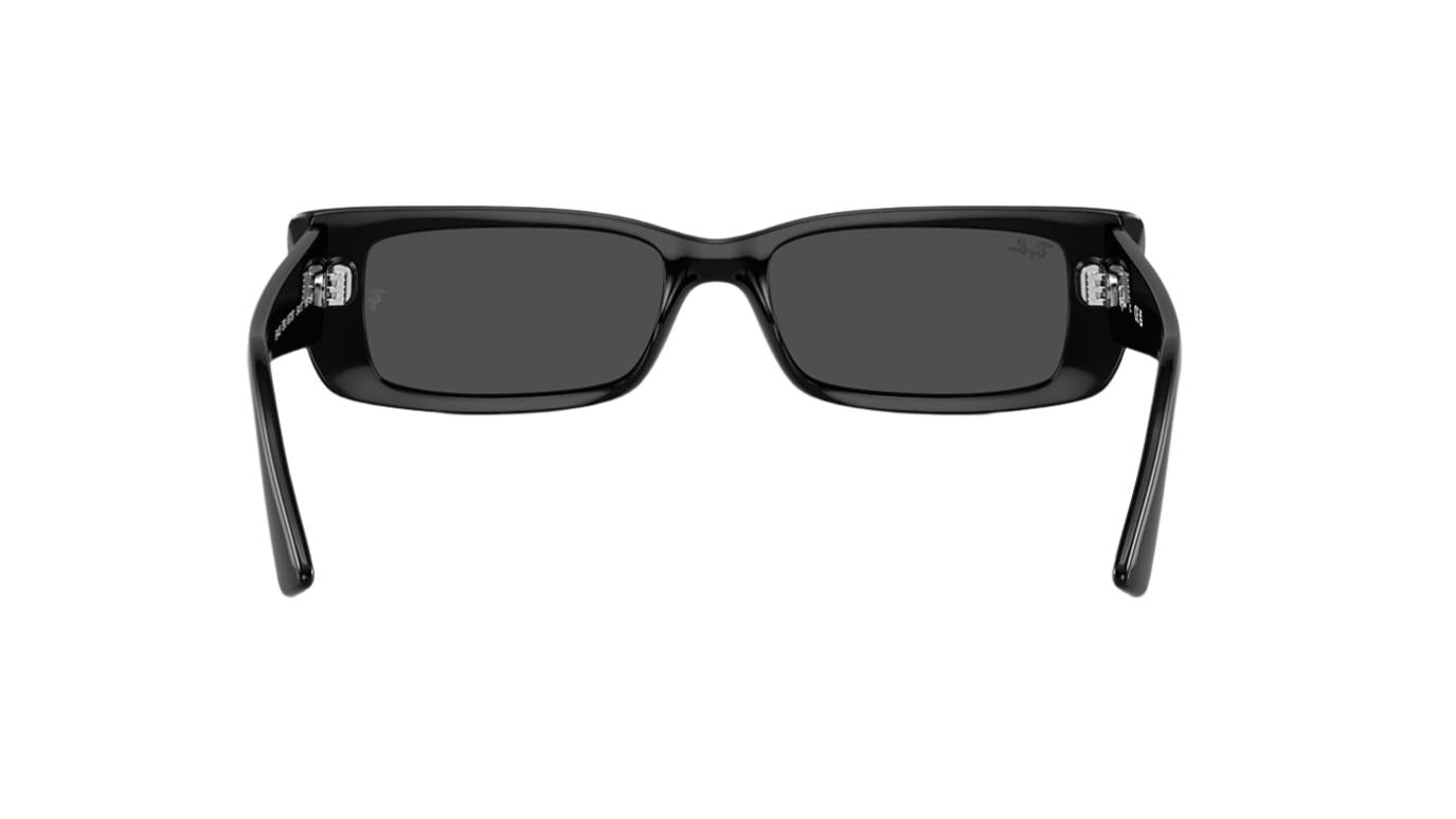 Ray-Ban Teru RB4425