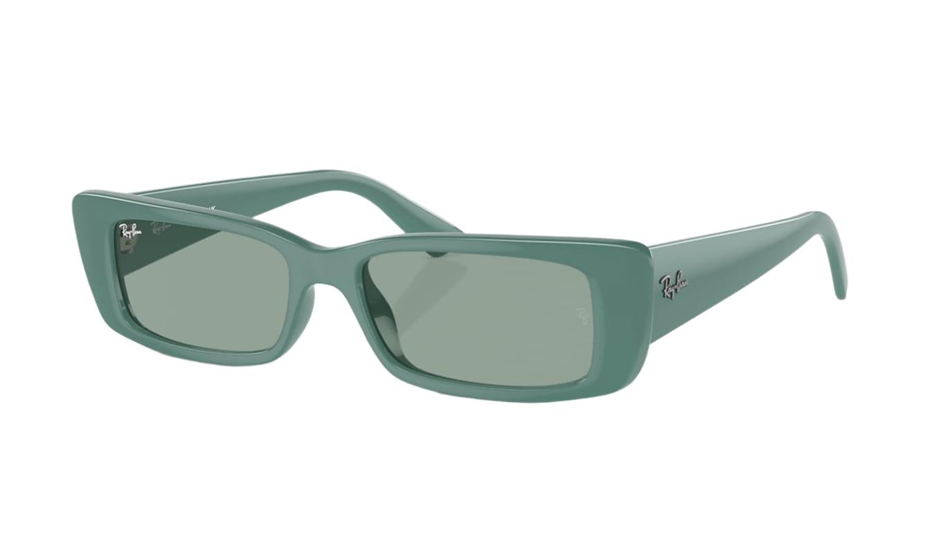 Ray-Ban Teru RB4425