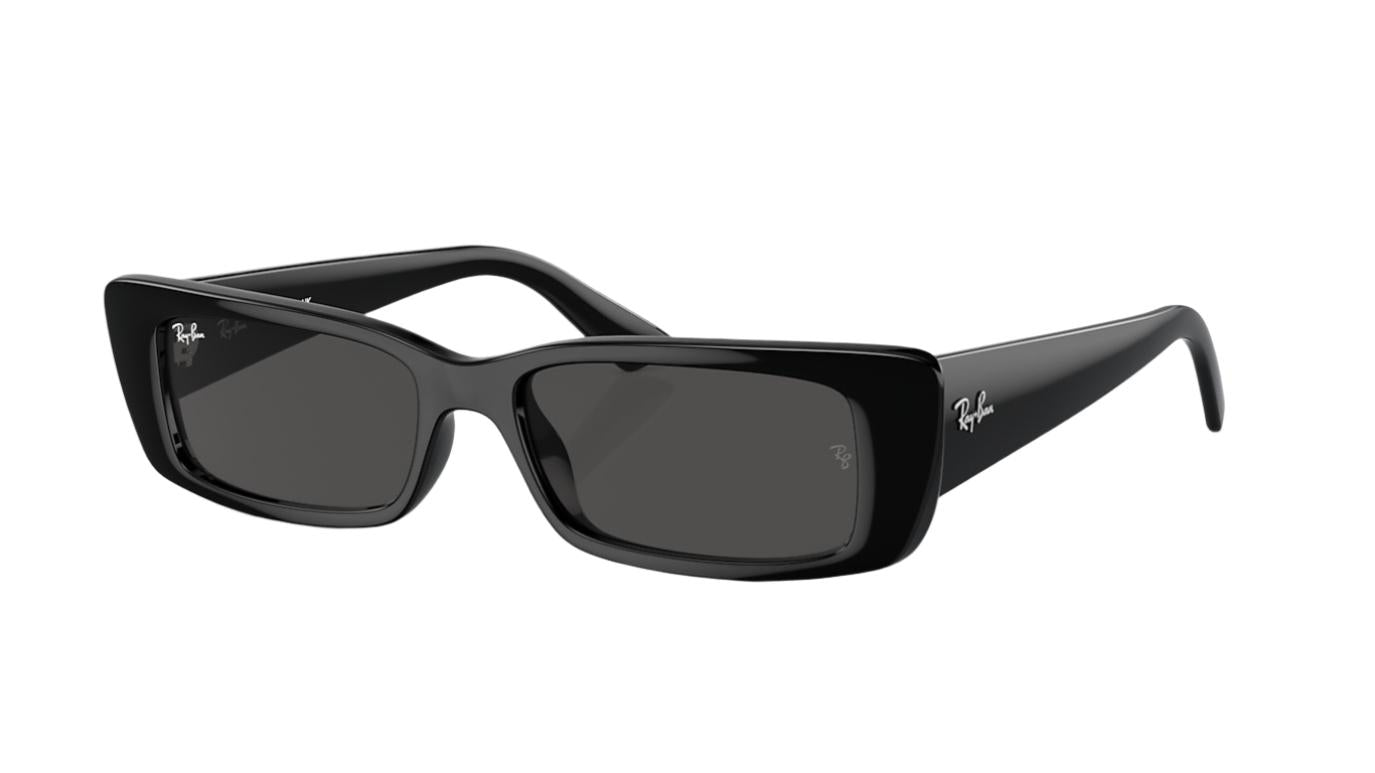 Ray-Ban Teru RB4425