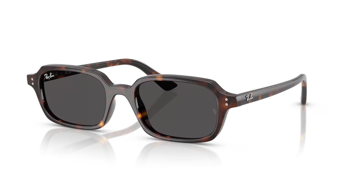 Ray-Ban Zuri RB4455